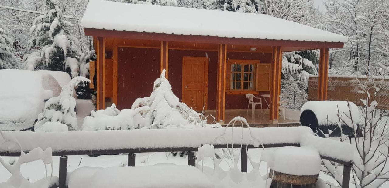 Cerro Indio Villa Potrerillos Kültér fotó